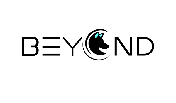Beyond Project