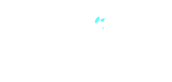 BEYOND PROJECT PTE LTD