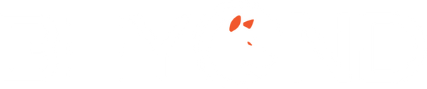 BEYOND PROJECT